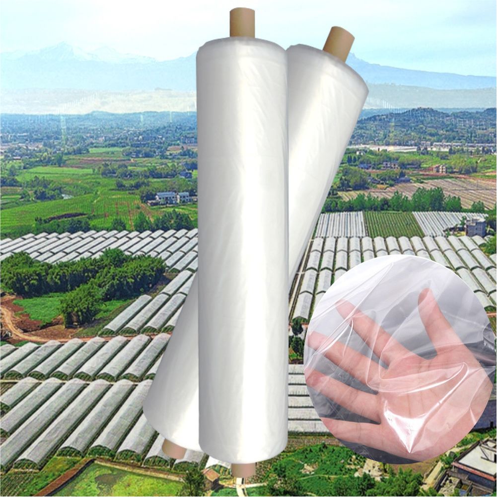 Agricultural Farm Greenhouse P - Agriculture Farming Vegetables ulasan dan harga