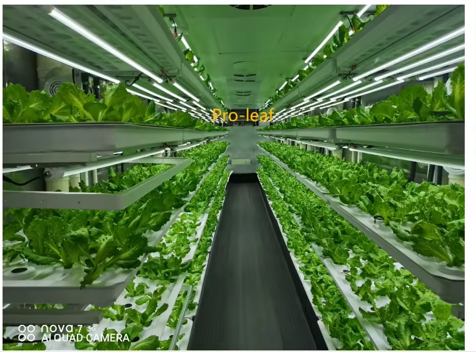 f Greenhouse Agricultural Equi - Agriculture Farming Vegetables ulasan dan harga