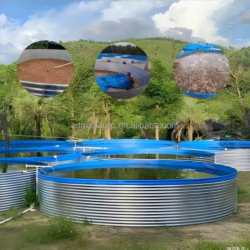 SDM Tarpaulin Farm Pool for Ga - Farming Agriculture Stocks ulasan dan harga
